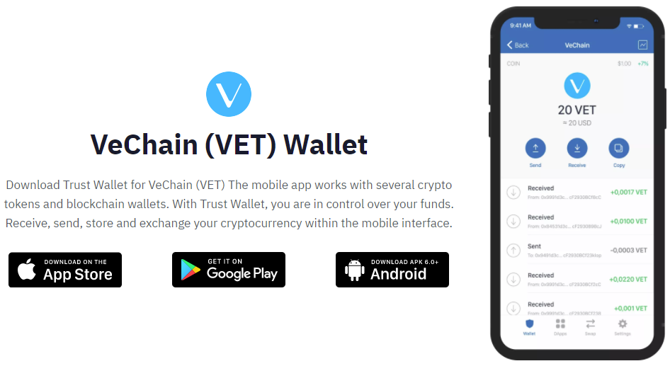 VeChain VET wallet 