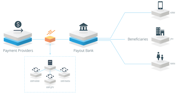 xRapid ripple illustration